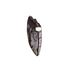 Infinity Flora Print Wristlet Pochette Bag, bottom view